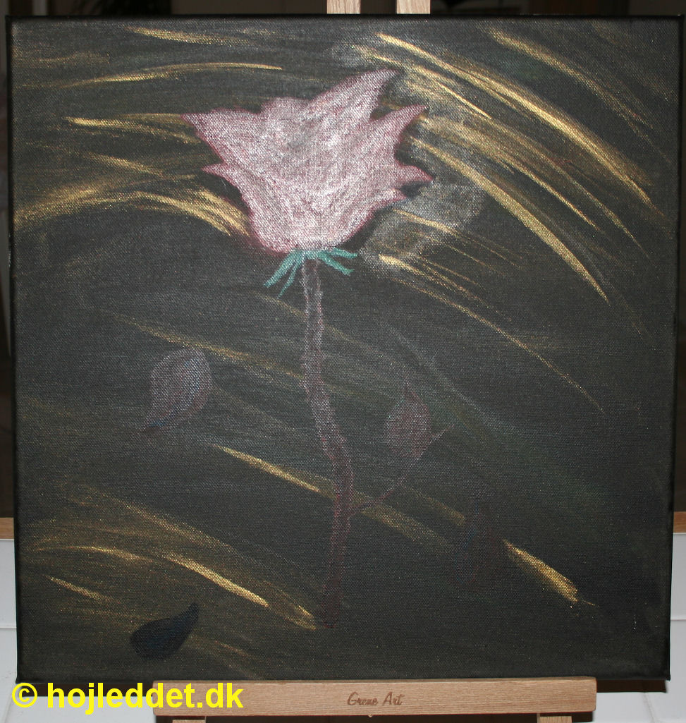 En rose. Billedet er ret mørkt og meget svært at fange ordenligt med kameraet.